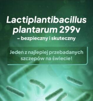 Lactiplantibacillus plantarum 299v