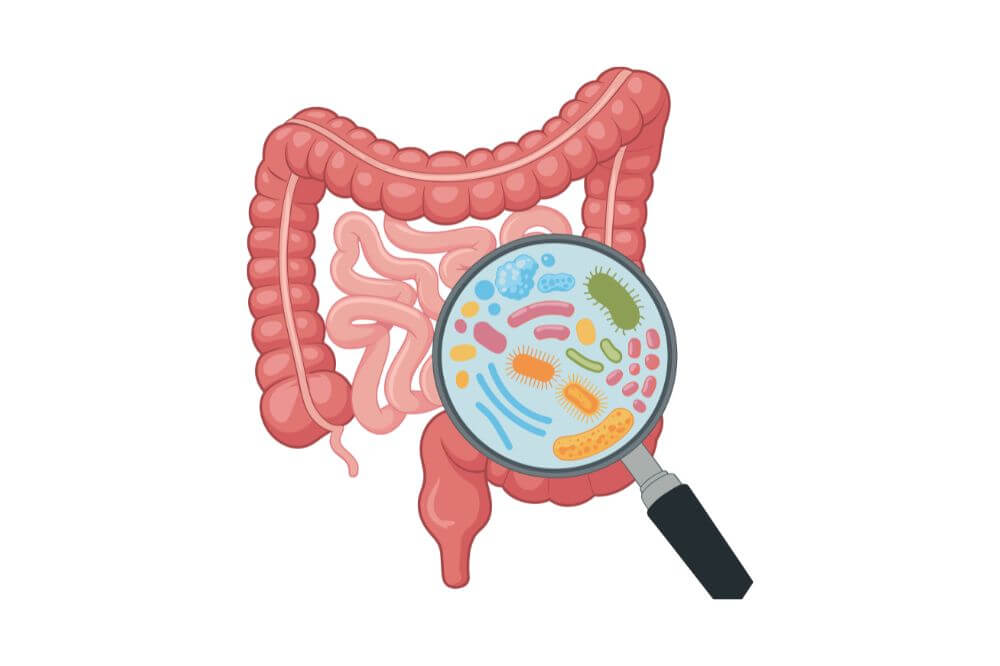 Biegunki, zaparcia - pomogą probiotyki