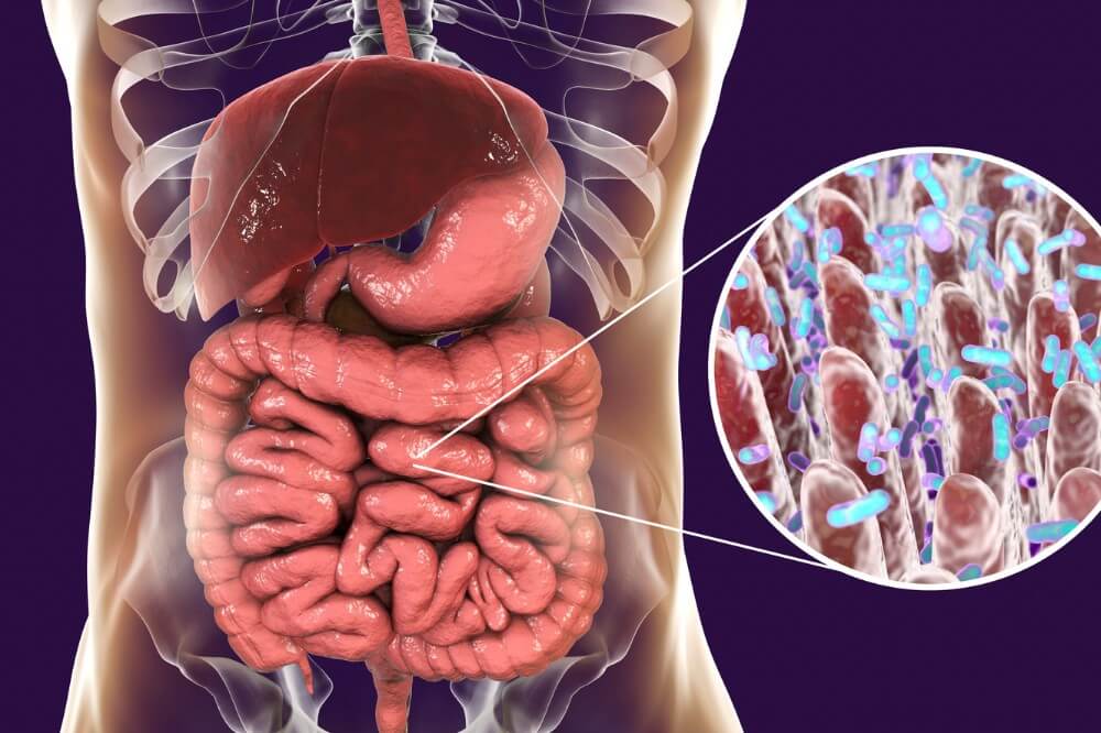 Choroby psychosomatyczne – skąd się biorą, czy można im zapobiec? IBS