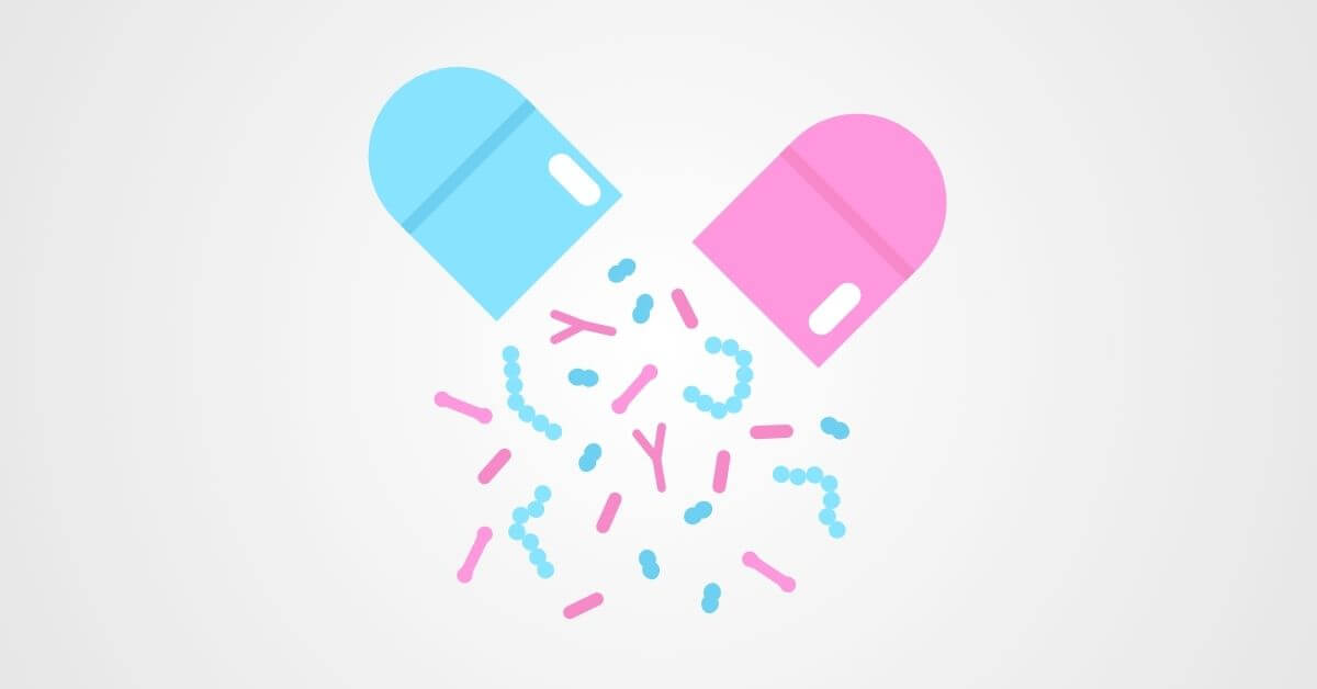 Bakterie probiotyczne Lactobacillus i Bifidobacterium