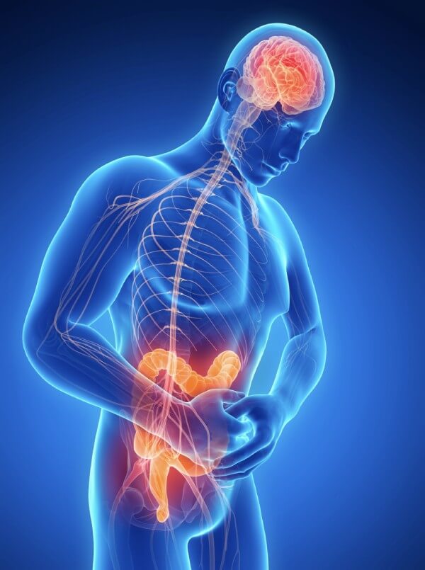 mikroglej jelita mózg