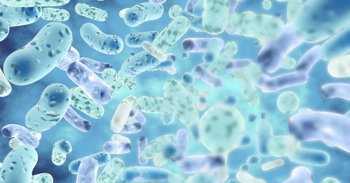 Probiotyki - co to jest, działanie czy, dla kogo i kiedy je brać